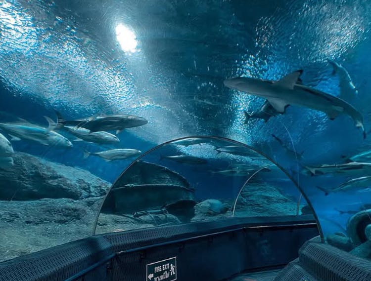 Underwater World Pattaya